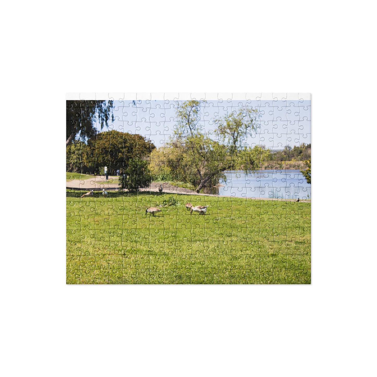 Jigsaw puzzle Guajome Park