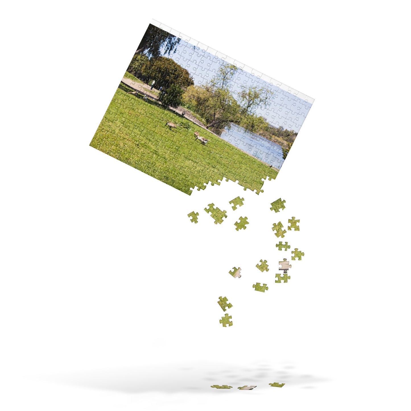 Jigsaw puzzle Guajome Park