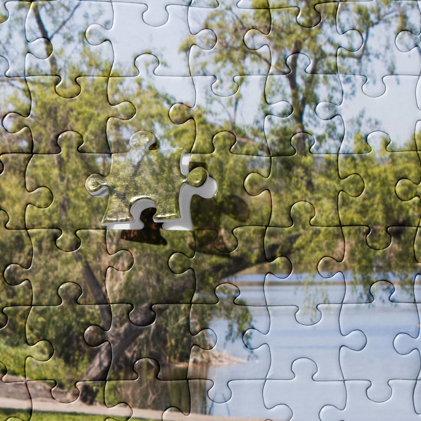 Jigsaw puzzle Guajome Park