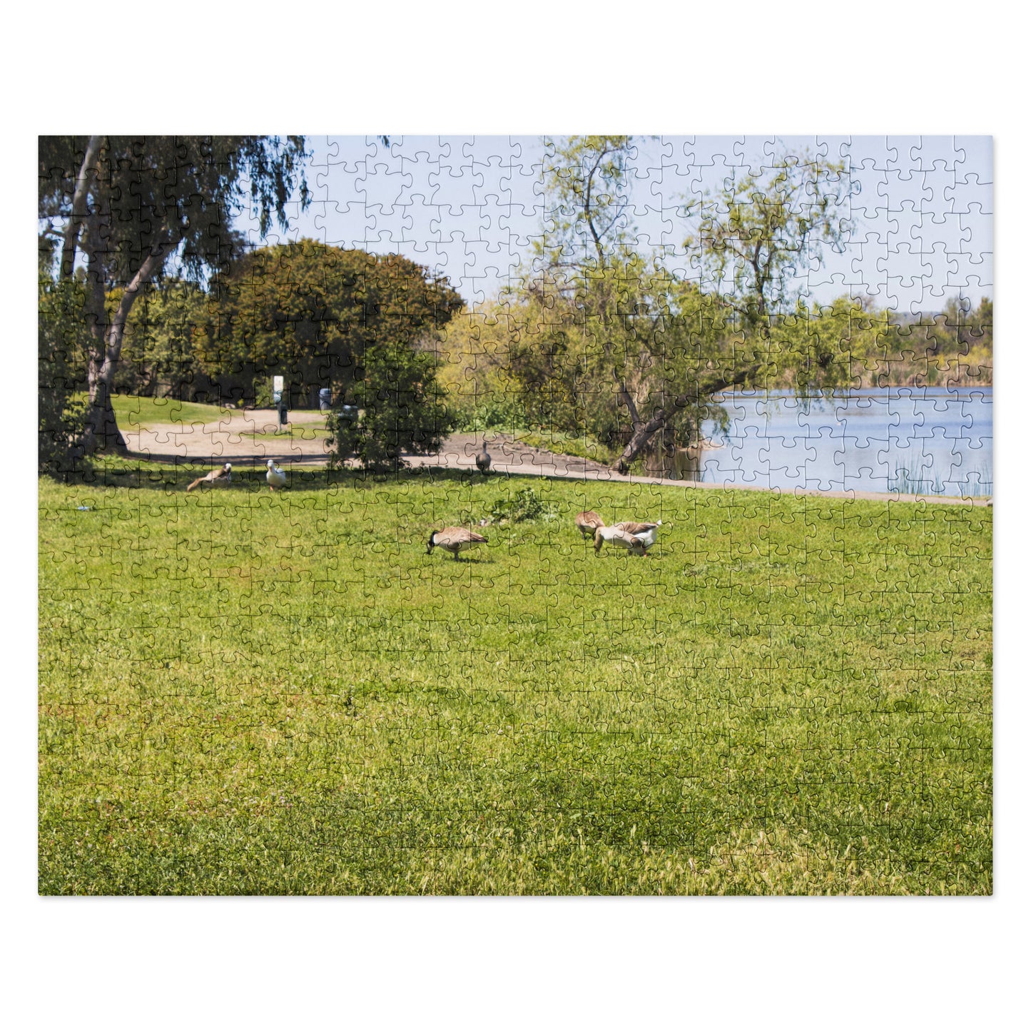 Jigsaw puzzle Guajome Park