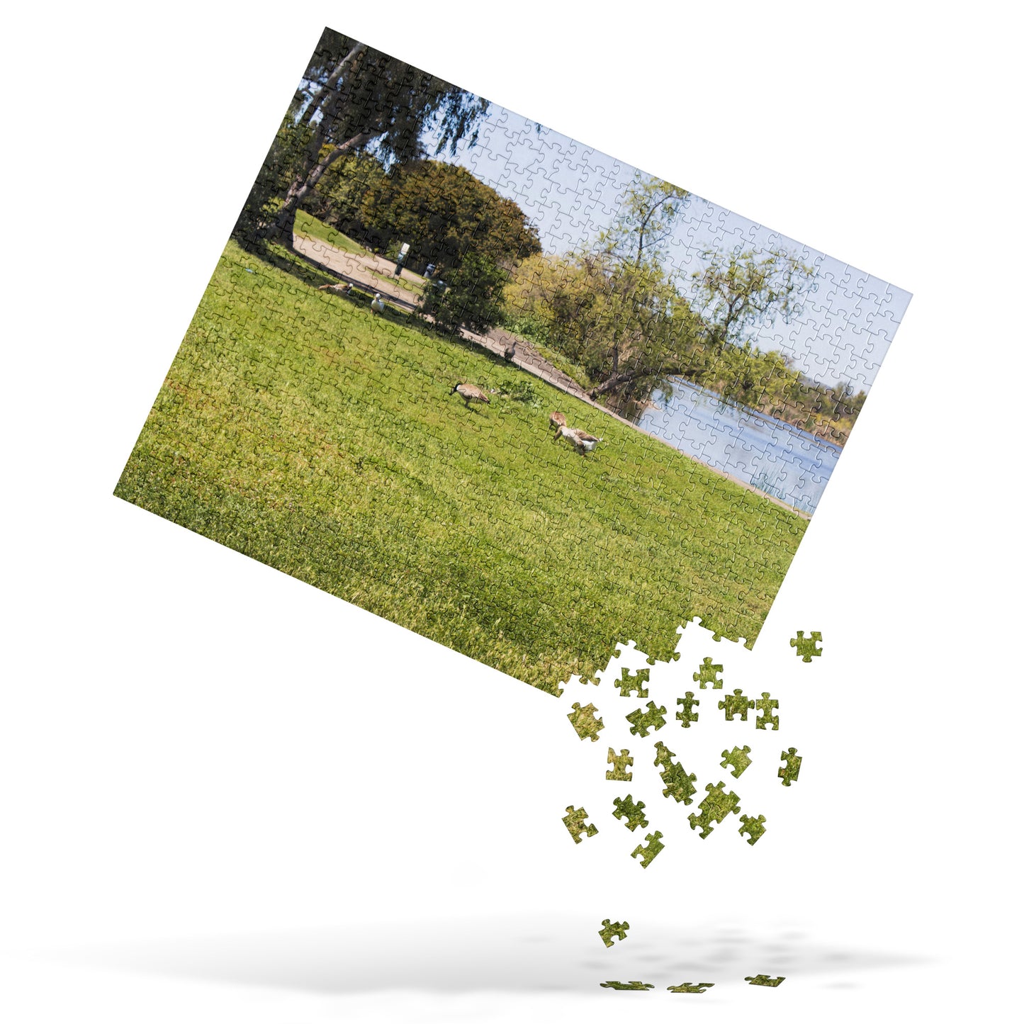Jigsaw puzzle Guajome Park