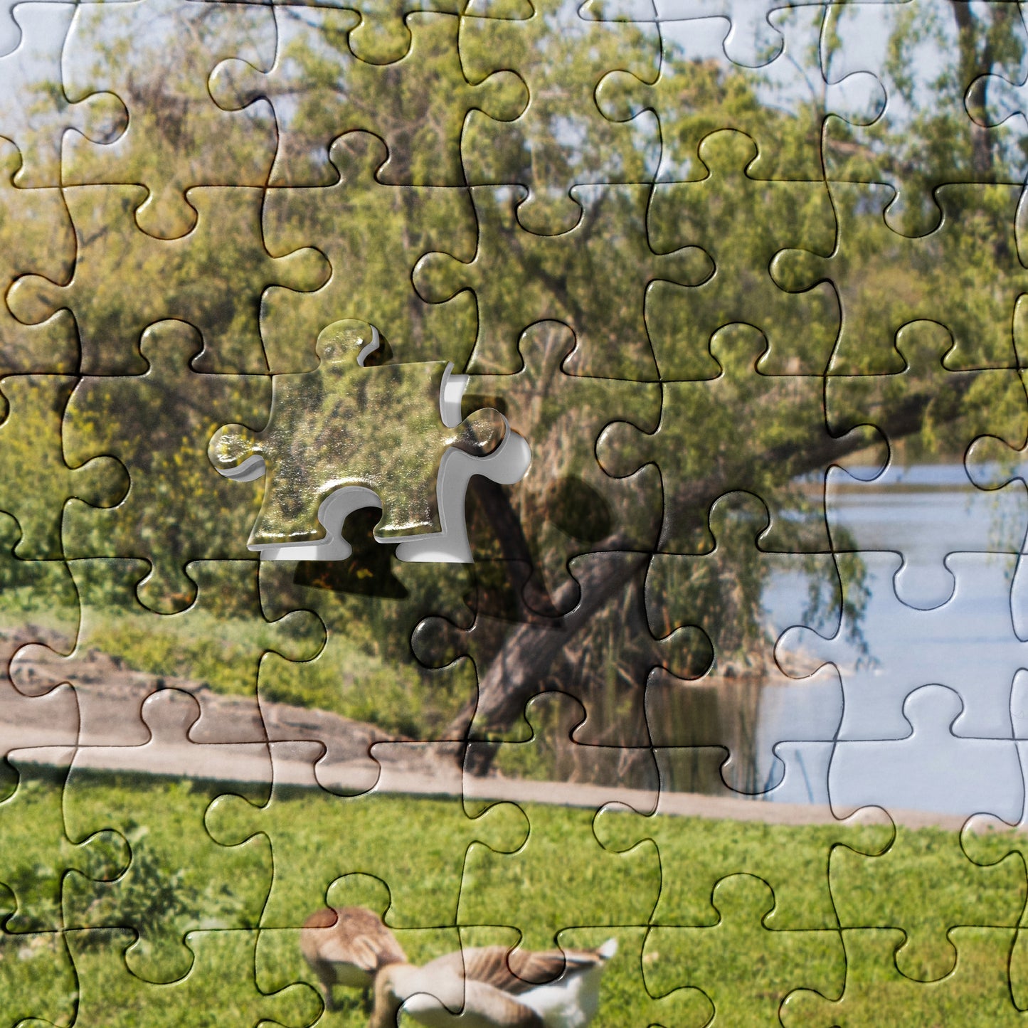 Jigsaw puzzle Guajome Park